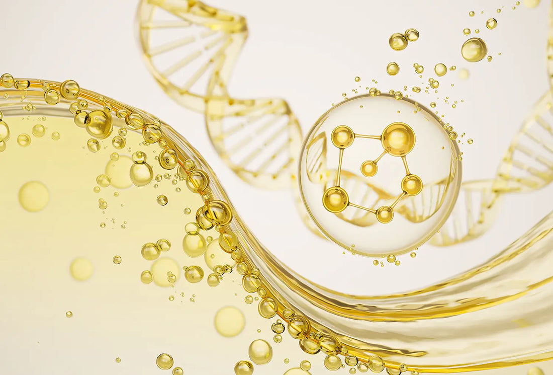 What is Ceramide and Why Your Skin Needs It