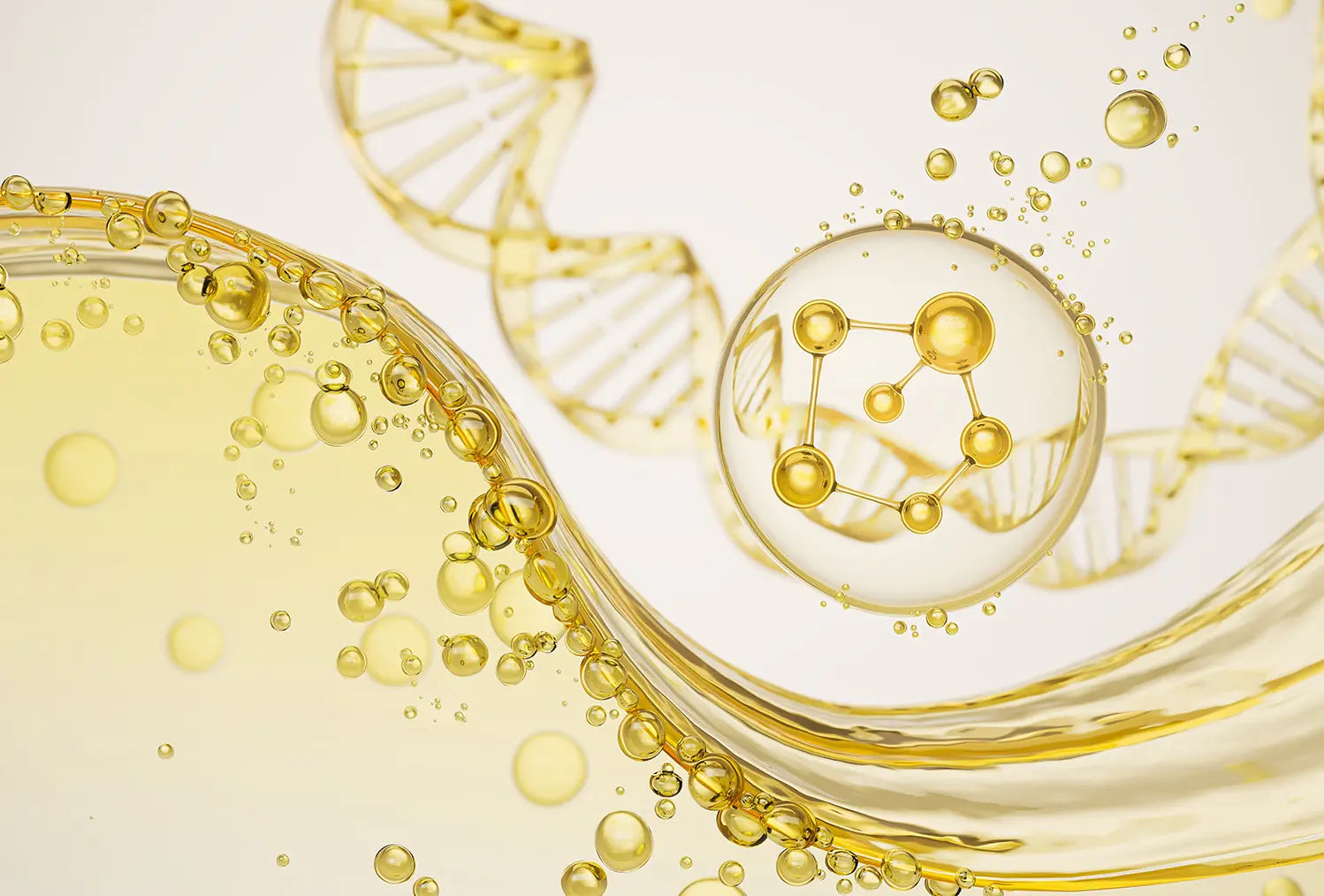 What is Ceramide and Why Your Skin Needs It