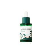 ROUND LAB Pine Calming Cica Ampoule 30ml